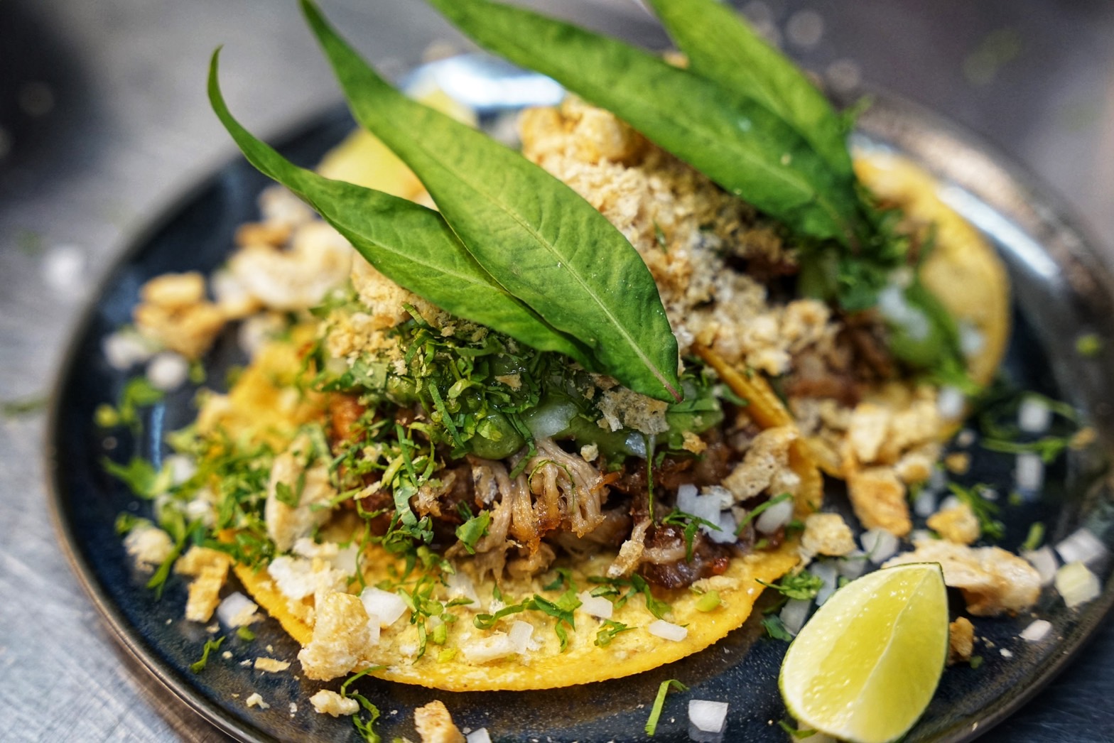 Pork Carnitas Tacos